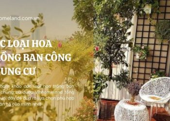 các loại hoa trồng ban công chung cư