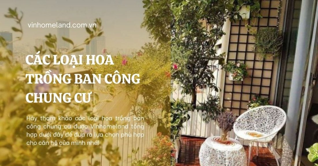 các loại hoa trồng ban công chung cư